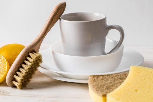 How to Clean Your Dish Brush?